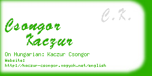 csongor kaczur business card